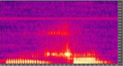 Eksempel p ord - horizont fr operation. Spektral analyse. Klik for en strre udgave (95KB JPG)